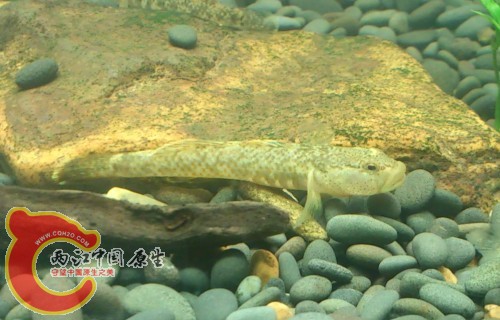 QQ图片20130712002914.jpg