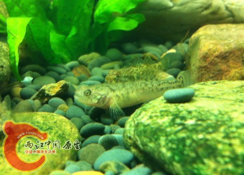 QQ图片20130715010413.jpg