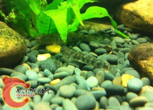 QQ图片20130715010417.jpg