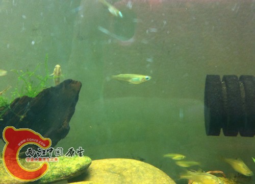 QQ图片20130715010422.jpg