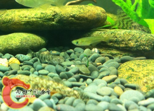 QQ图片20130715010424.jpg
