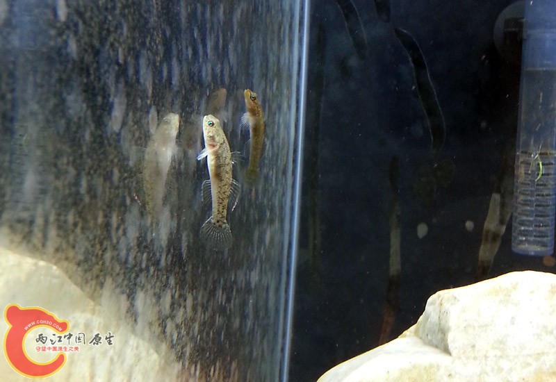 20130715_184125副本.jpg