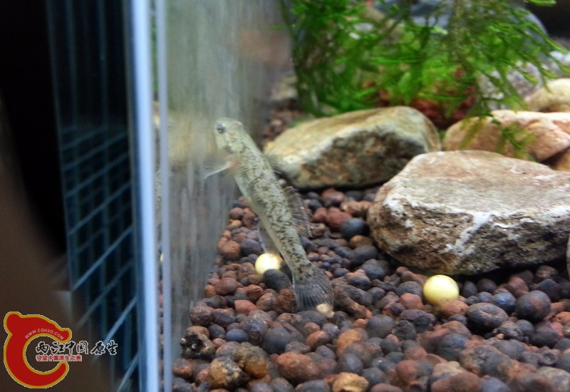 20130715_184541副本.jpg
