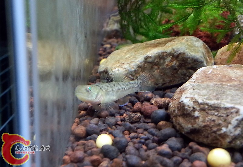 20130715_184534副本.jpg