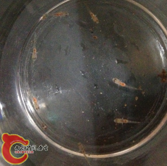 QQ图片20130717111348.jpg