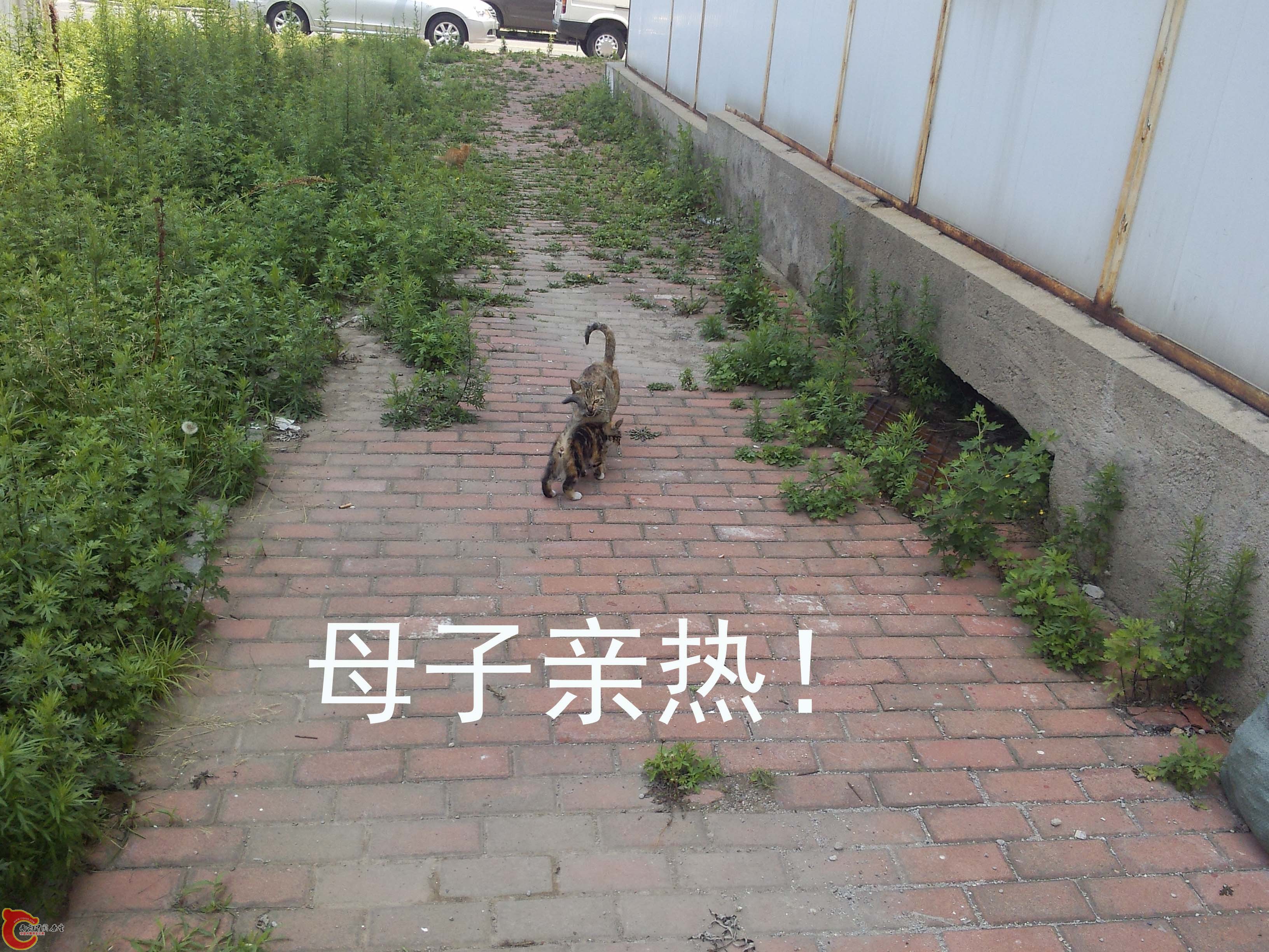P30708-114626.jpg