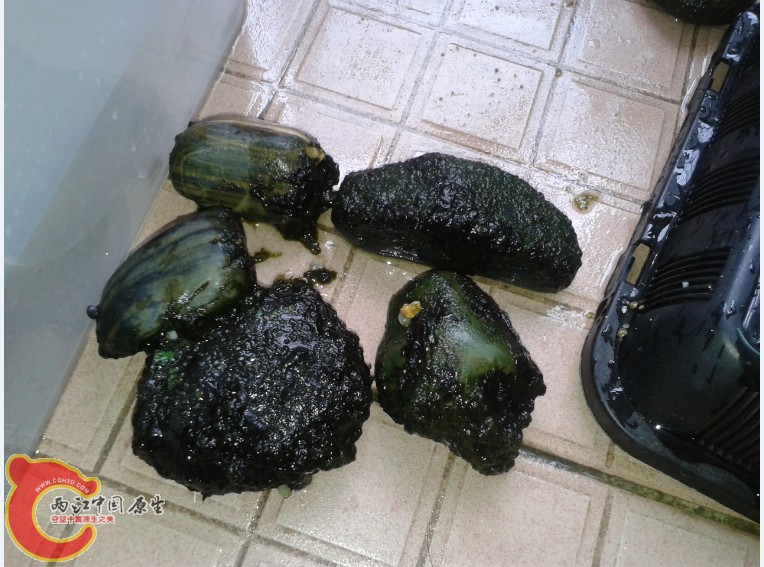 QN5XAO{NT(FP{J$@SW_37TI.jpg