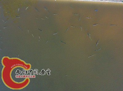 都是宽