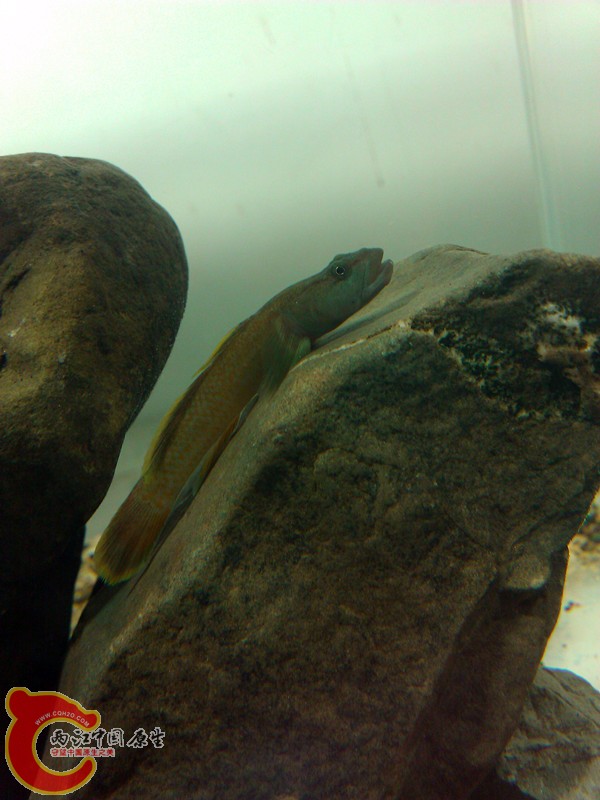 WP_003634_副本.jpg