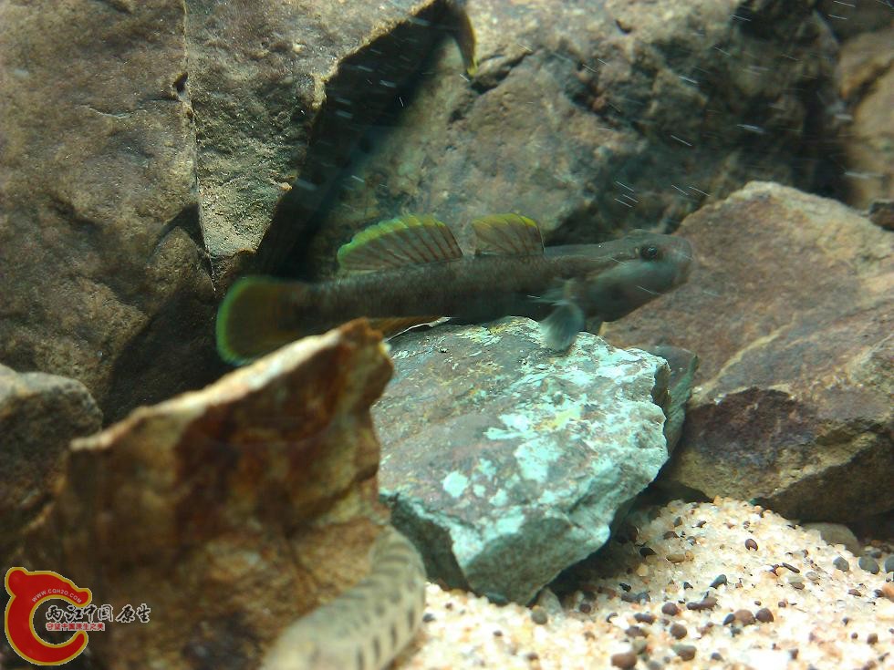 WP_003747.jpg