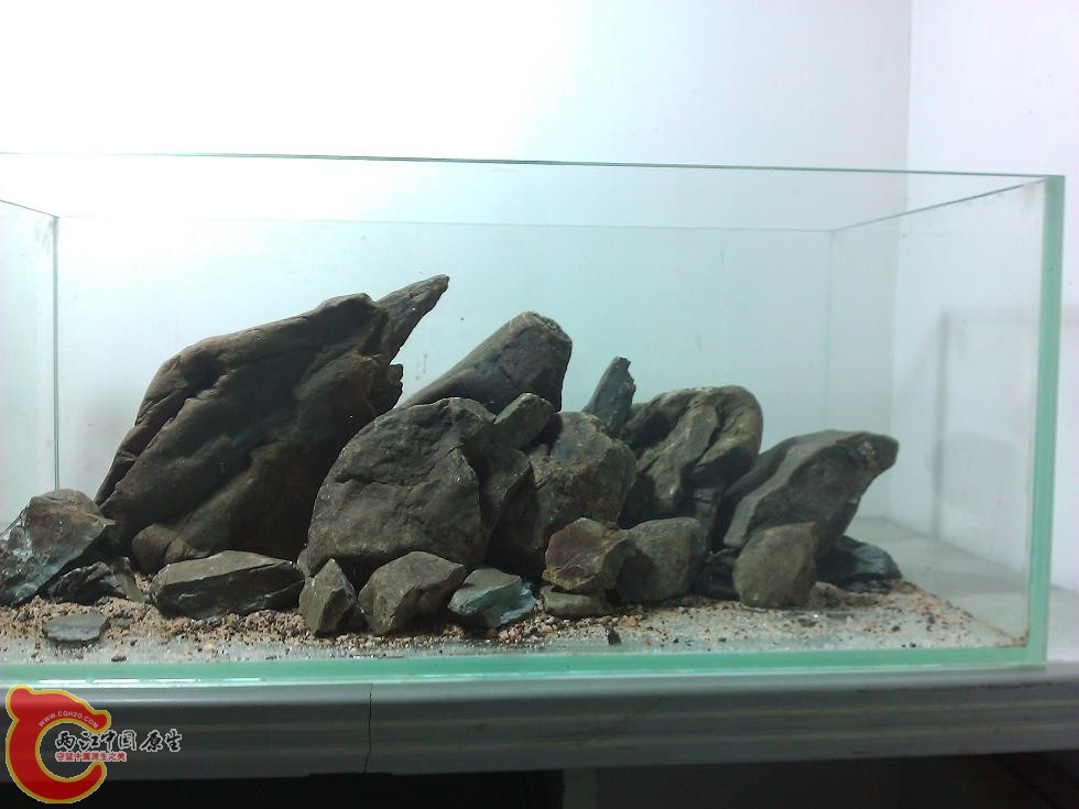 WP_003421.jpg