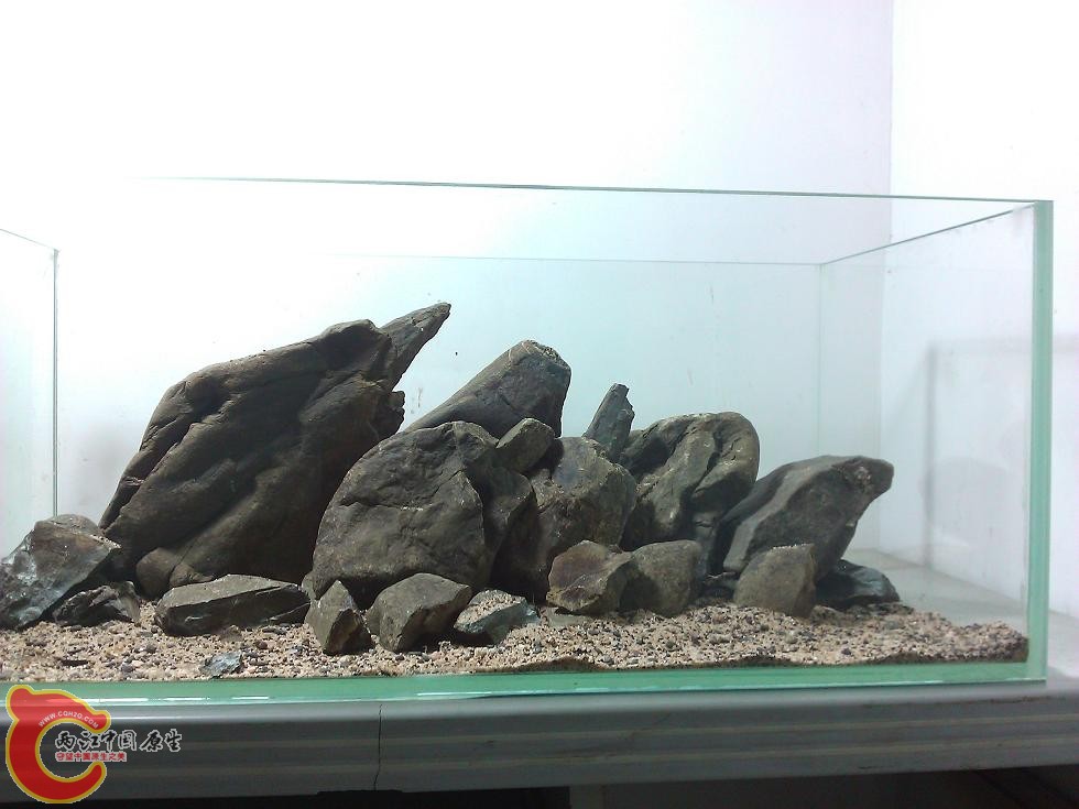 WP_003423.jpg