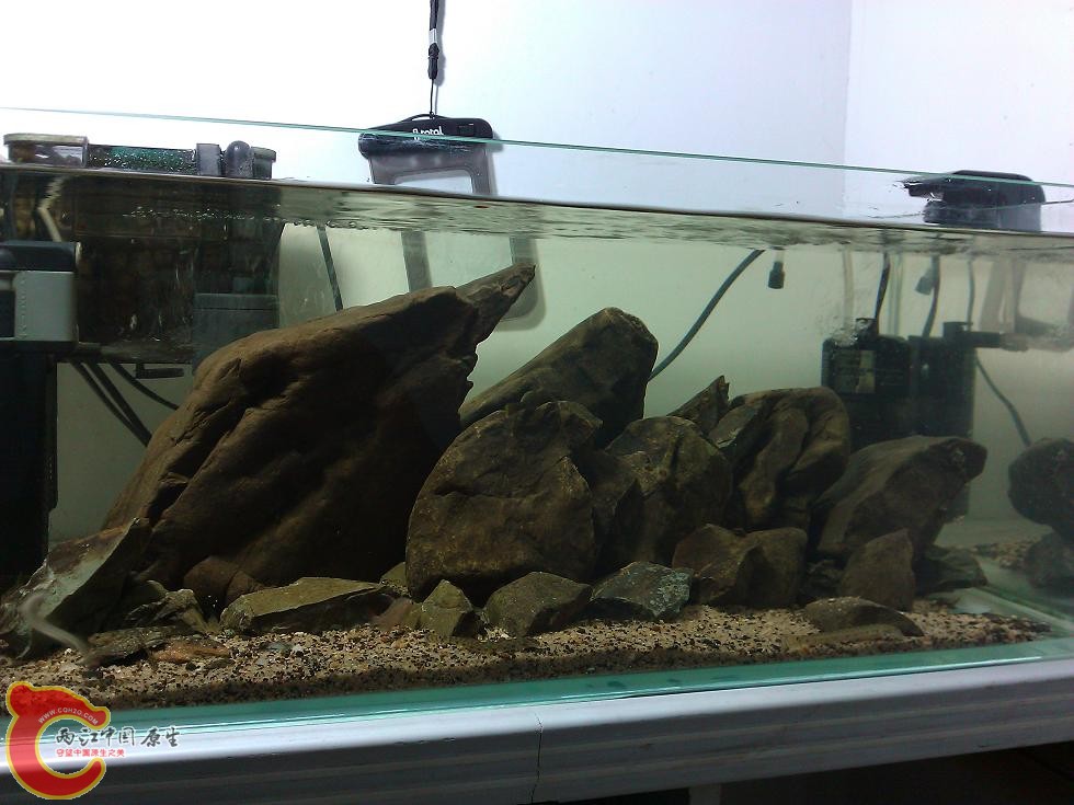 WP_003710.jpg