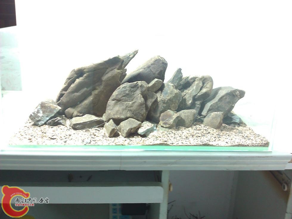 WP_003427.jpg