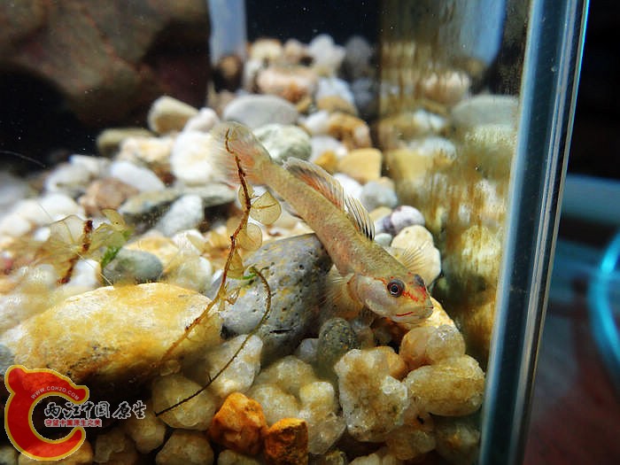 杂缸 (14).jpg