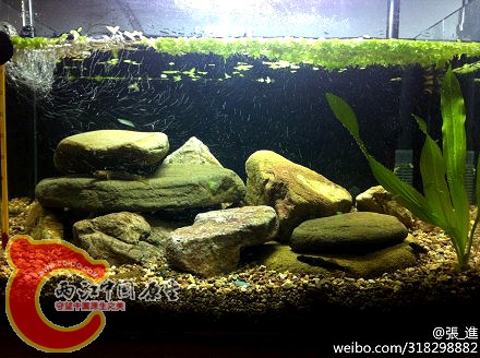 现在的景
