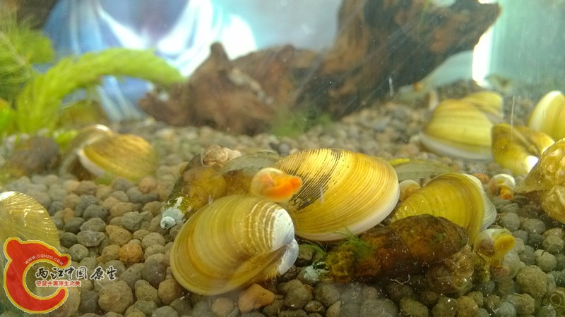 IMG_20130825_094139_副本.jpg