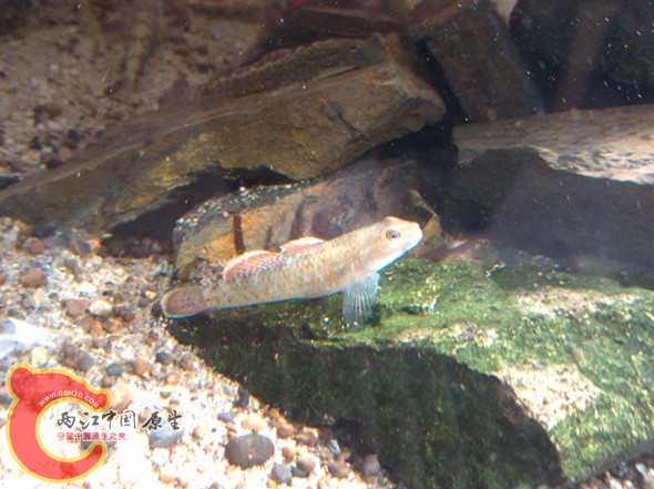 IMG_20130830_092355_副本.jpg