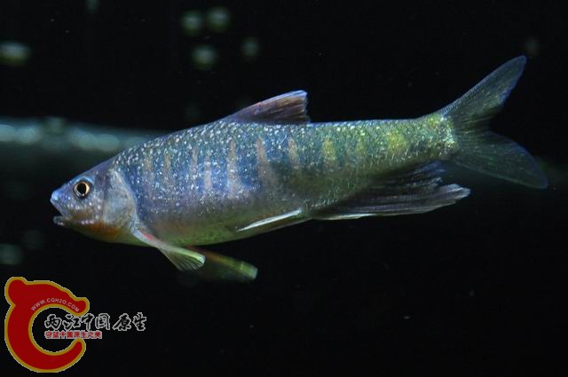 调整大小 DSC_1482.JPG