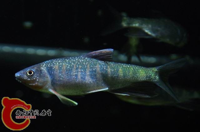 调整大小 DSC_1483.JPG