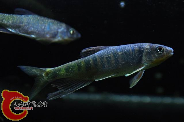 调整大小 DSC_1487.JPG