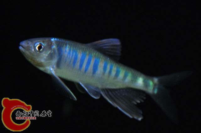 调整大小 DSC_1506.JPG