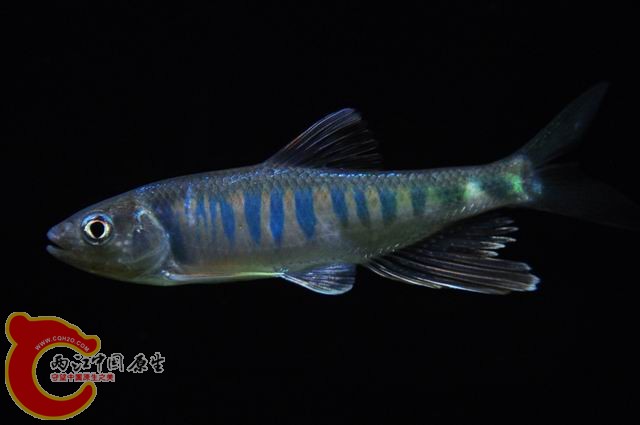 调整大小 DSC_1509.JPG