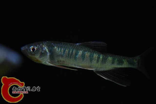 调整大小 DSC_1518.JPG