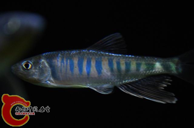 调整大小 DSC_1526.JPG