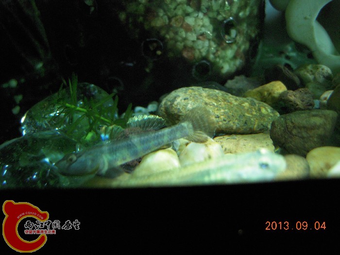 DSCN3603.jpg