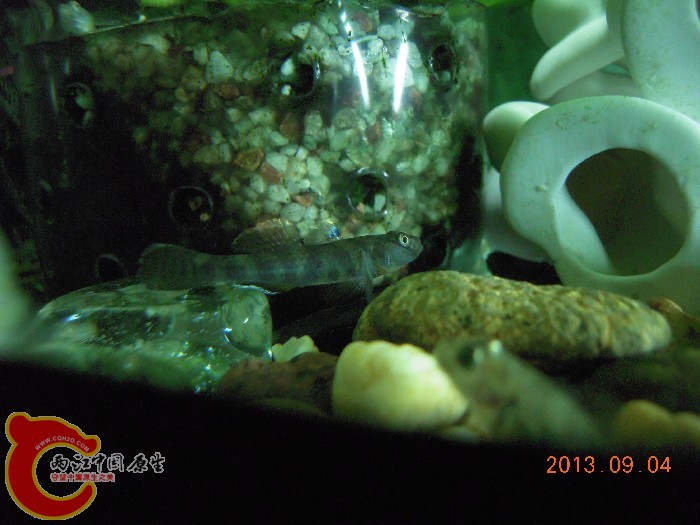 DSCN3593.jpg