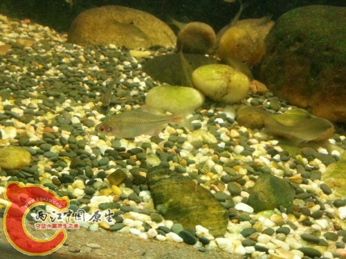 IMG20130906163425.jpg