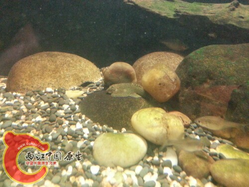 IMG20130906163448.jpg