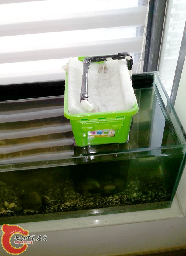 20130908_182010.jpg
