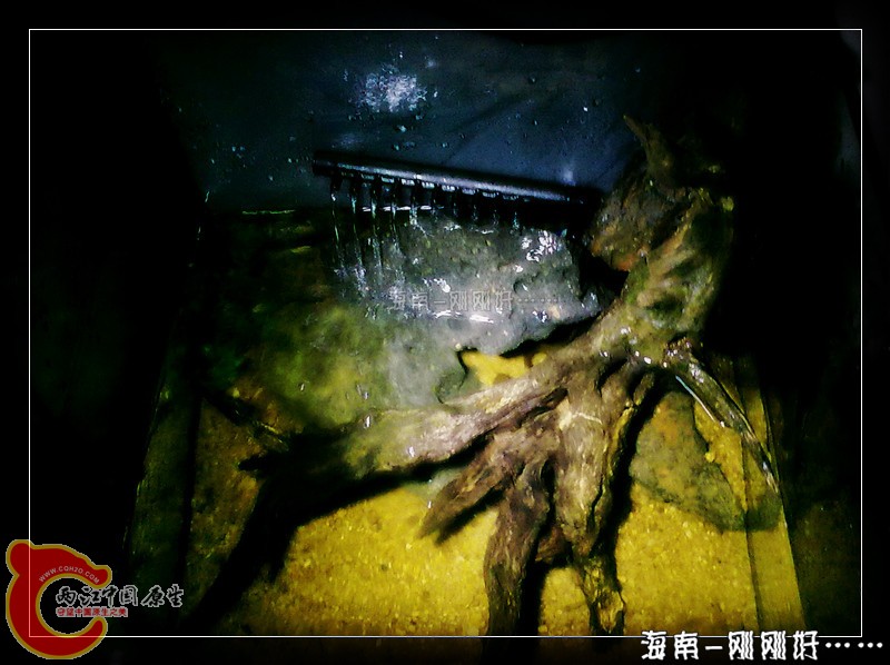 201212011491.jpg