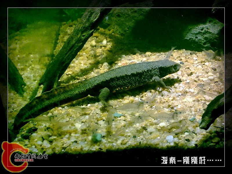 201212011494.jpg