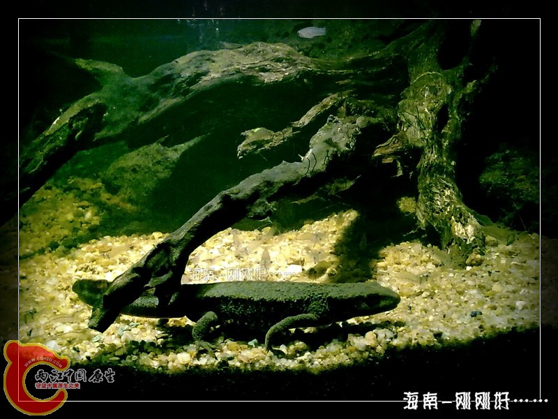 201212011495.jpg