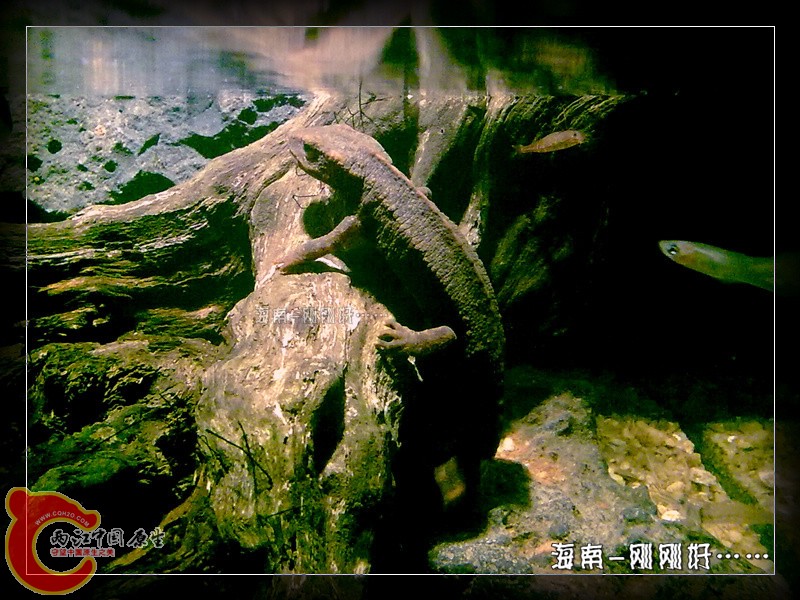 201212011499.jpg