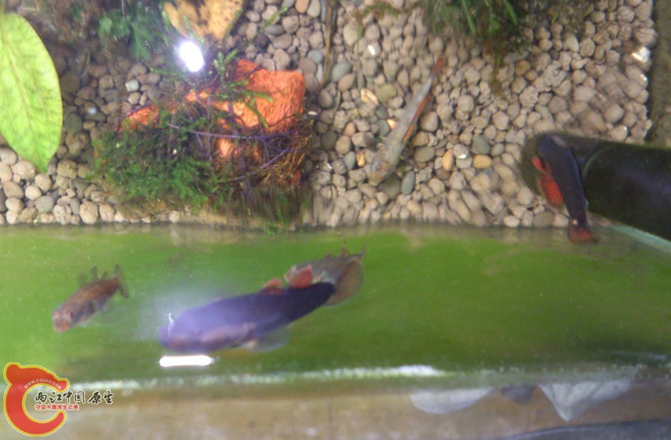 QQ图片20130912213709.jpg