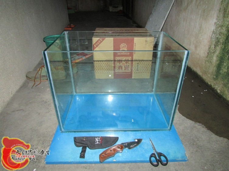粘缸.jpg