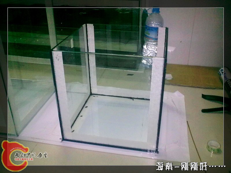 20111208802.jpg