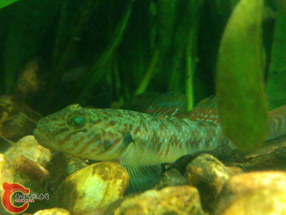 QQ图片20130915201327.jpg