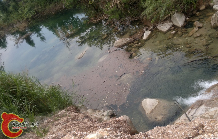 溪流水库入水口