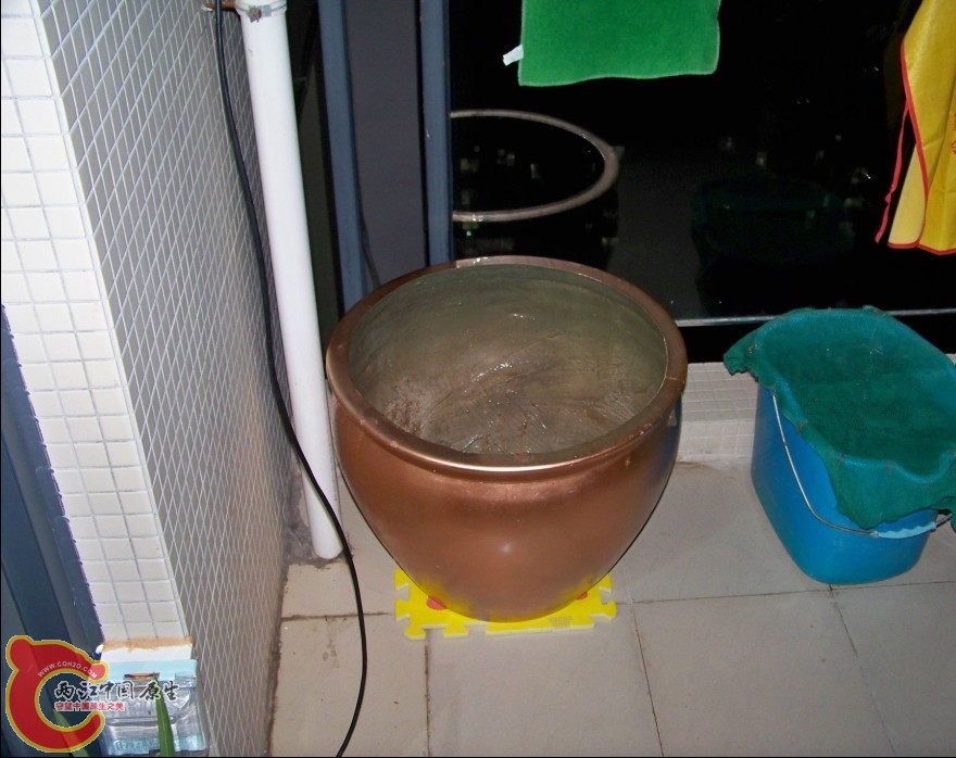 L1.jpg