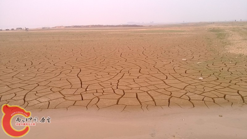 IMG_20130929_171756_副本.jpg