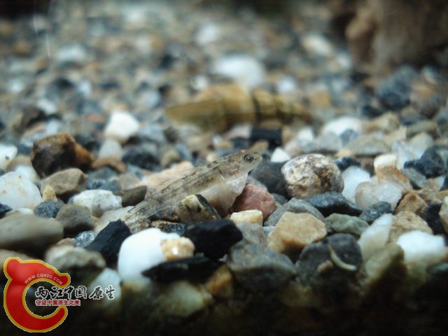 DSC00496.JPG