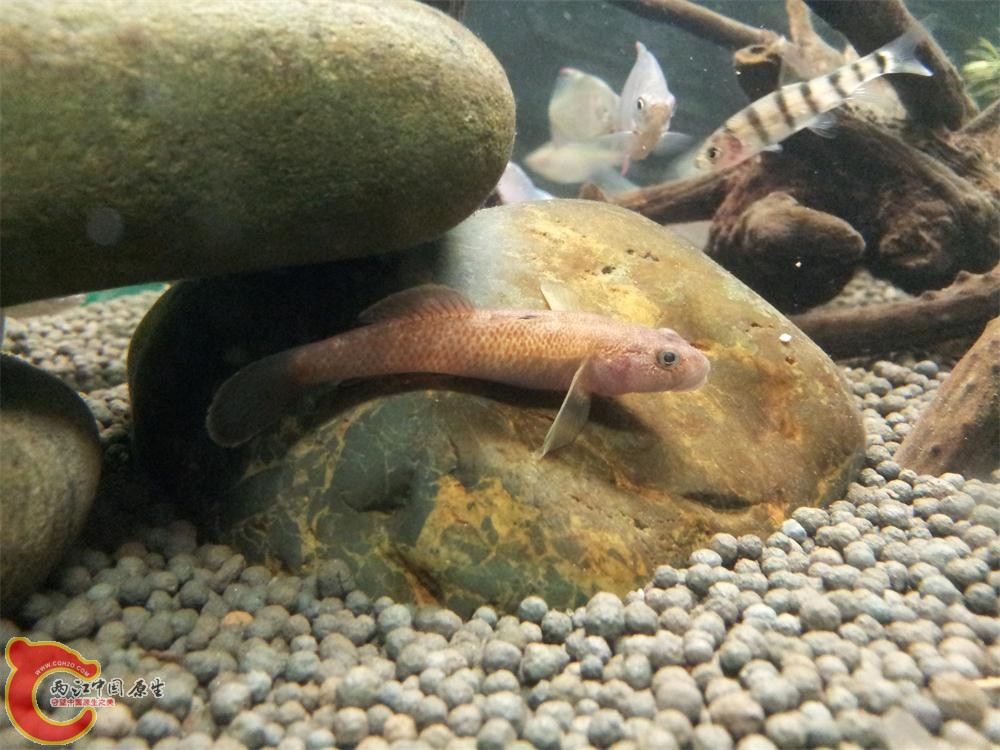 20131004_230133.jpg
