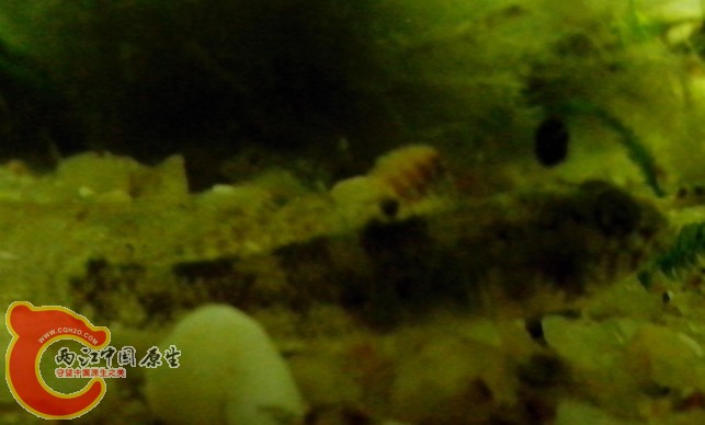 QQ图片20131006200627.jpg
