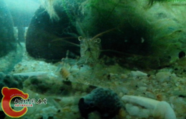 QQ图片20131006200634.jpg