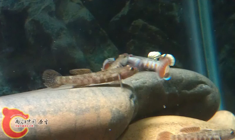 imag1078_副本.jpg
